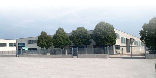 Company profile